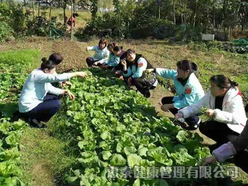 員工團(tuán)建活動，自己摘菜做飯